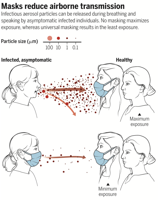 ebola asymptomatic transmission ebola asymptomatic transmission