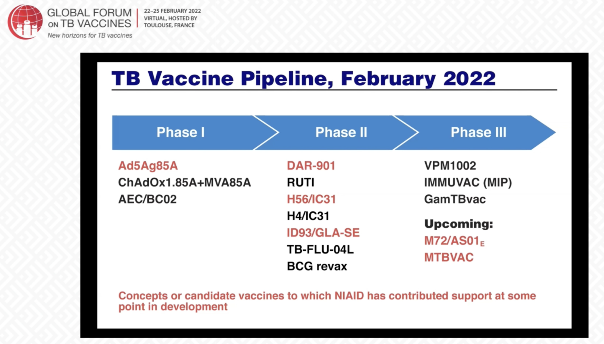 Finally Cause For Optimism About TB Vaccine Research, Says Fauci ...