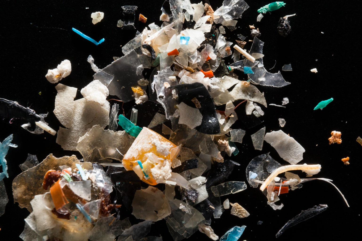 Microplastics Found In Human Blood For The First Time And May Also Be 
