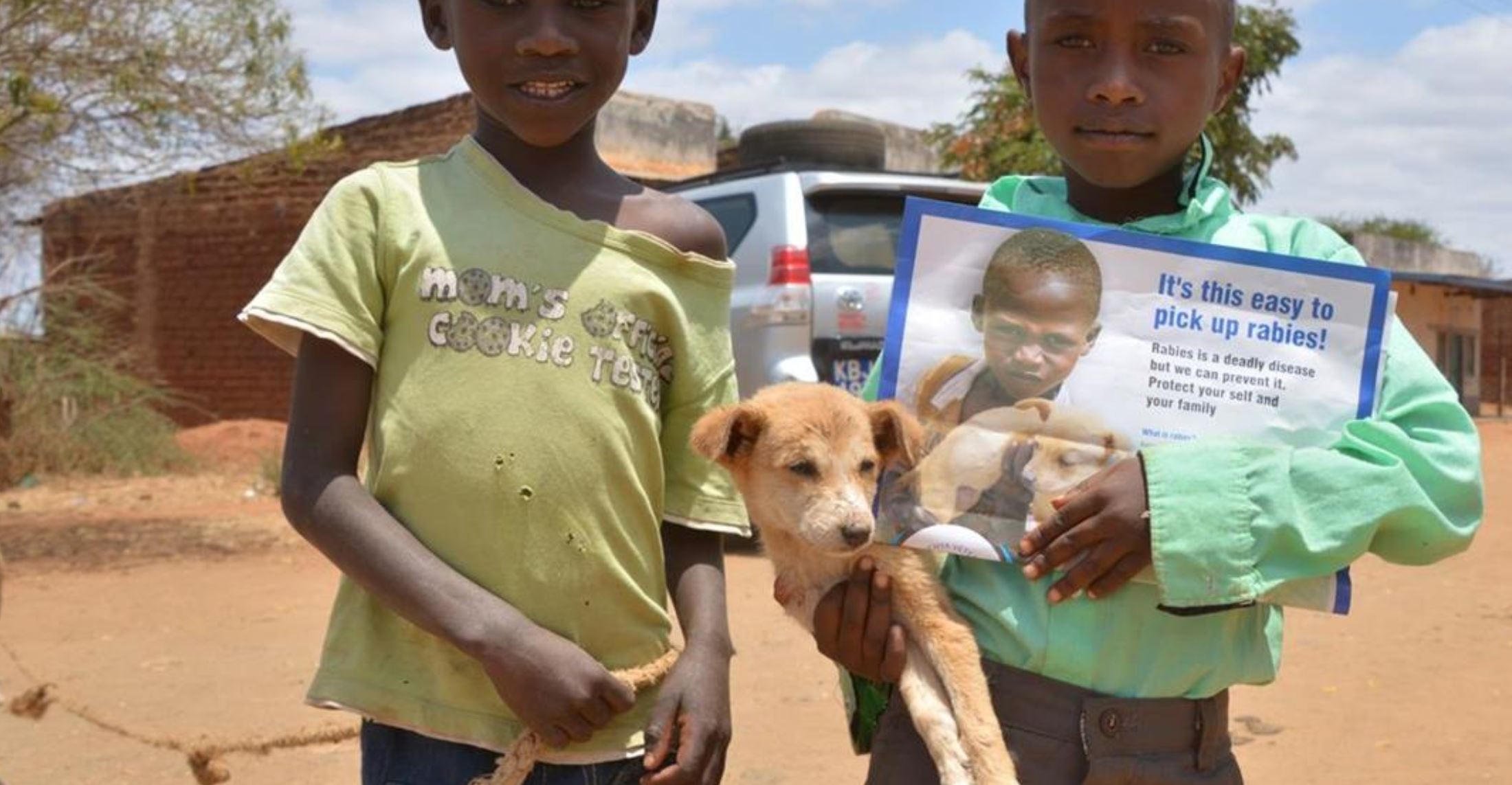 Stopping Human Diseases Often Starts With Animals - Health Policy Watch Stopping Human Diseases Often Starts With Animals - Health Policy Watch