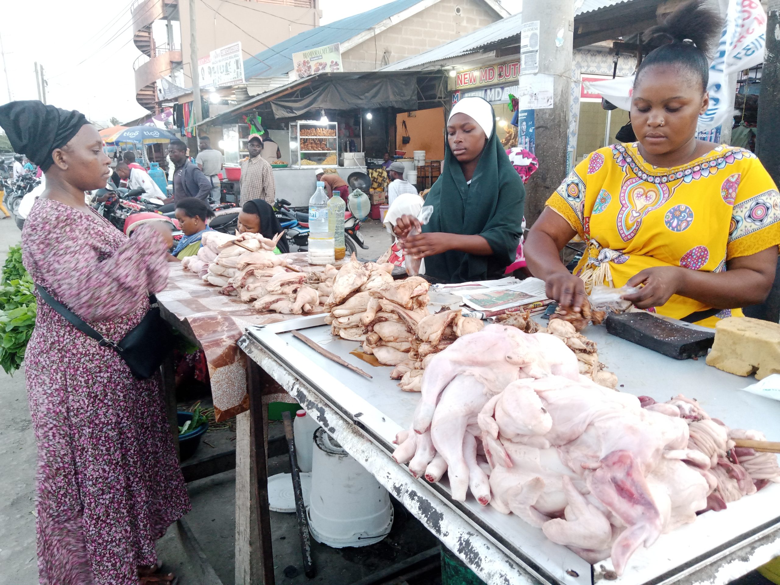 As Demand For Chicken Rises, Tanzanian Researchers Warn Of Excessive Antibiotic Use At Farms - Vimarsana News