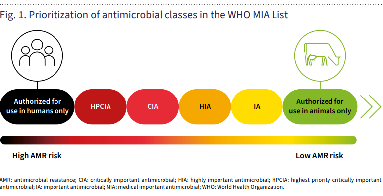 Antimicrobial risk scale