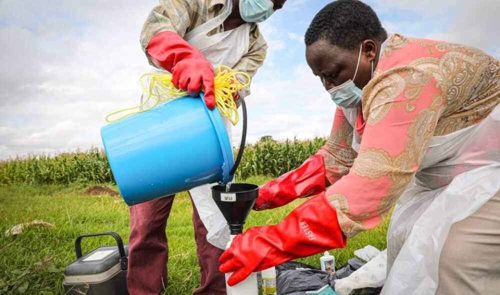 Wastewater monitoring for poliovirus in Malawi showcases the critical role of environmental surveillance.