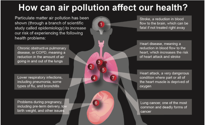 Wildfire smoke and health diagram