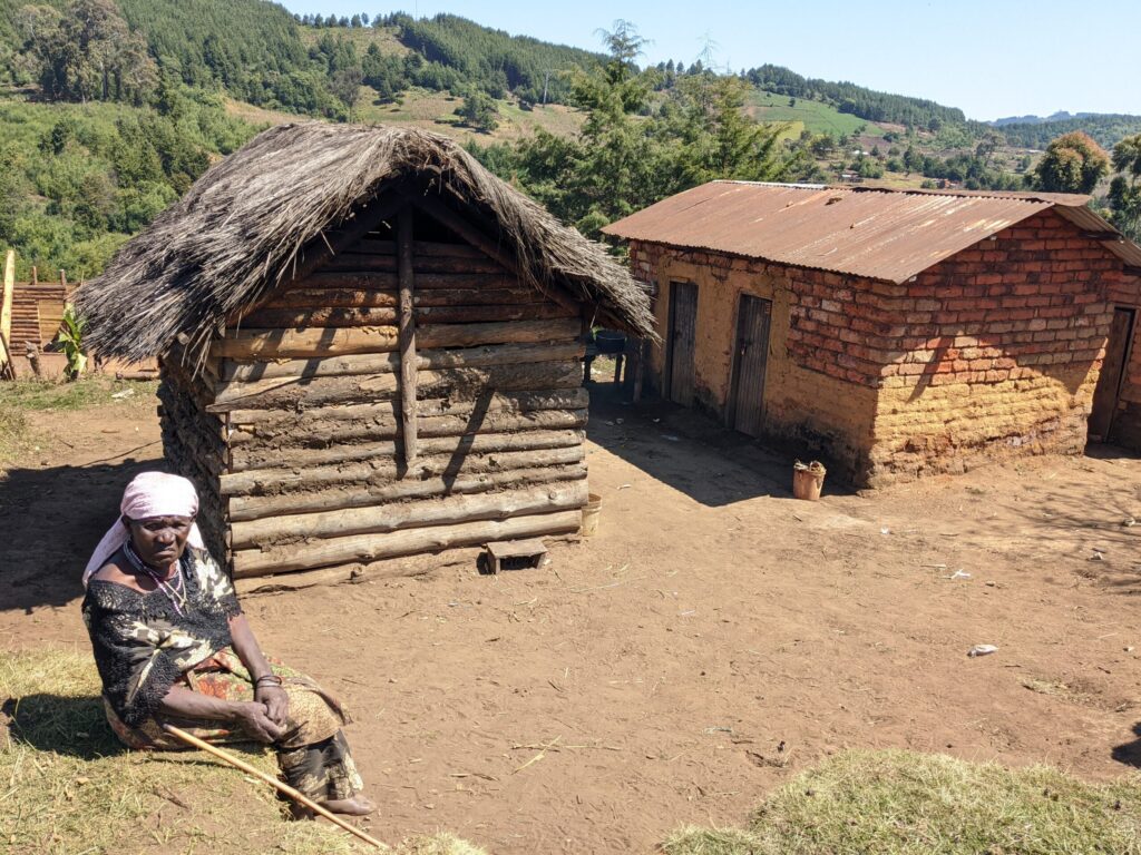 Alzheimer's aging elderly Tanzania