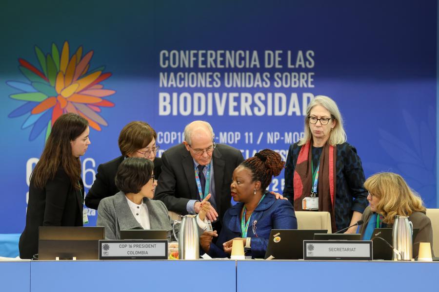 COP16.2 Rome biodiversity conference