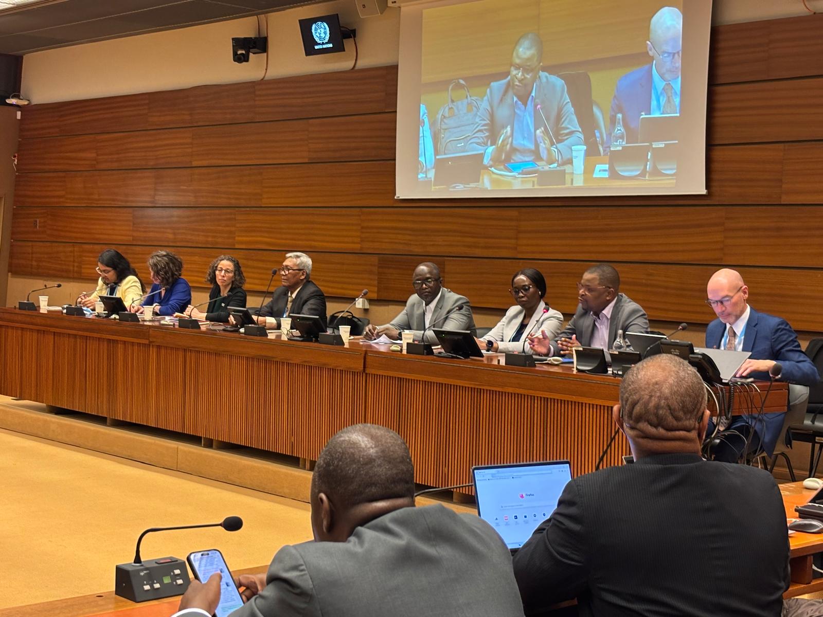 Panel discussion: Addressing the Global Crisis of Substandard and Falsified Medicines – A Panel Discussion Enhancing the Work of WHO Member States Mechanism through Regional Engagement, Stakeholder Collaboration and Operation Agility