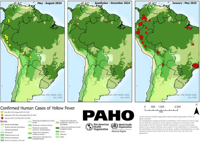 Yellow fever 2023-2025 map Americas