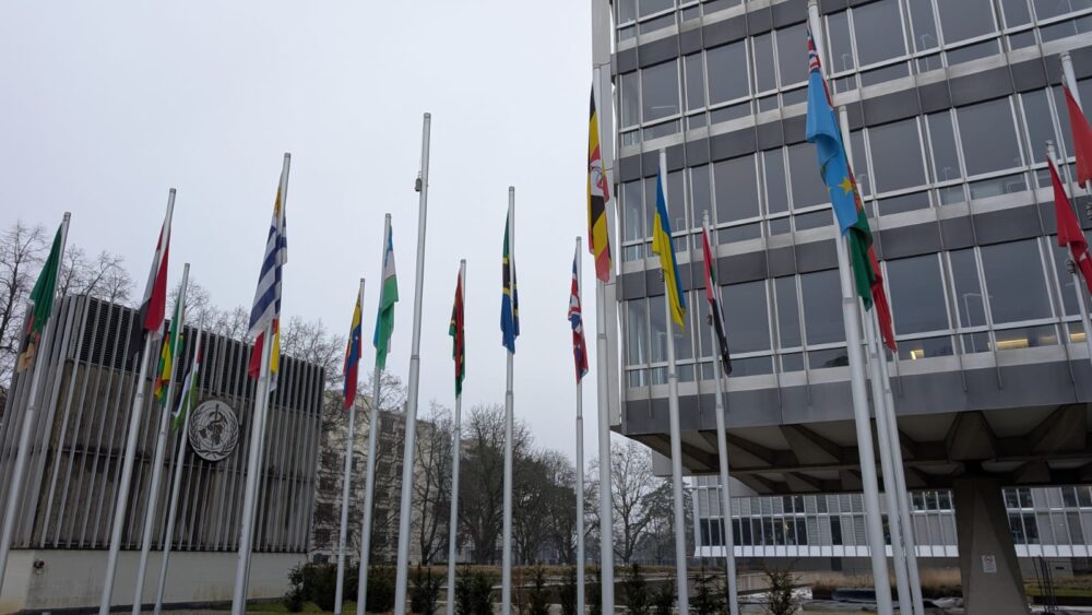 The geopolitical fracture between Washington and the WHO leaves multilateral health partnerships in financial limbo.