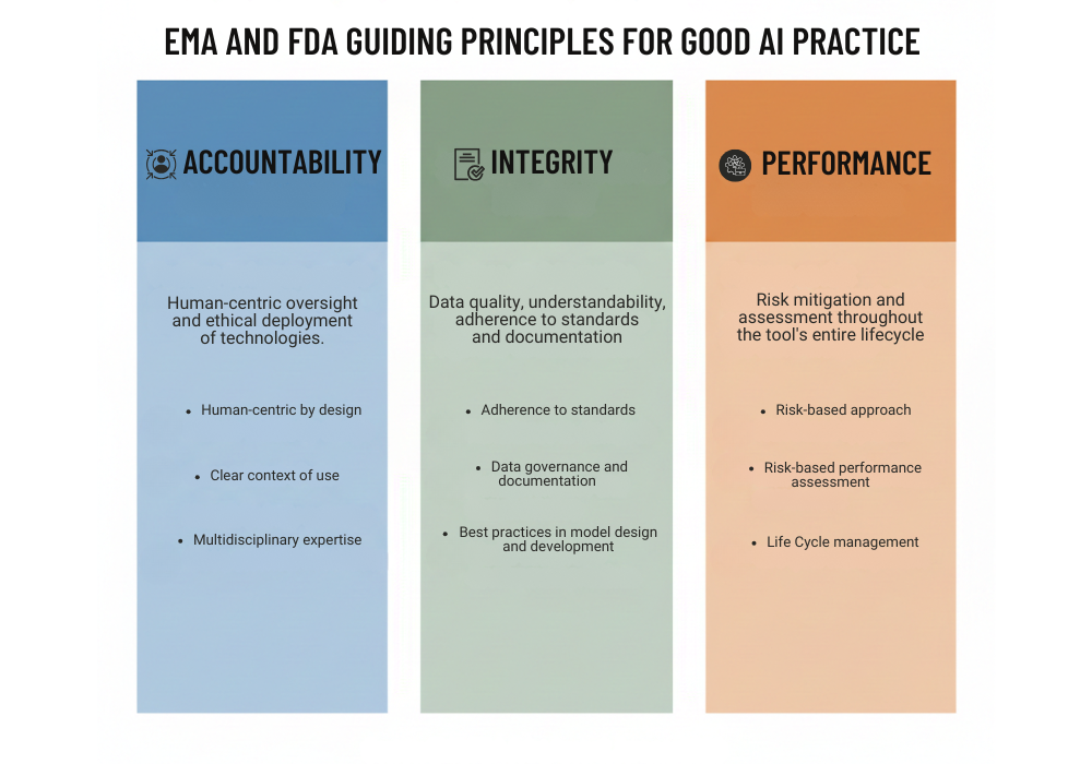 The ten guiding principles published in a joint decision by EMA and FDA.
