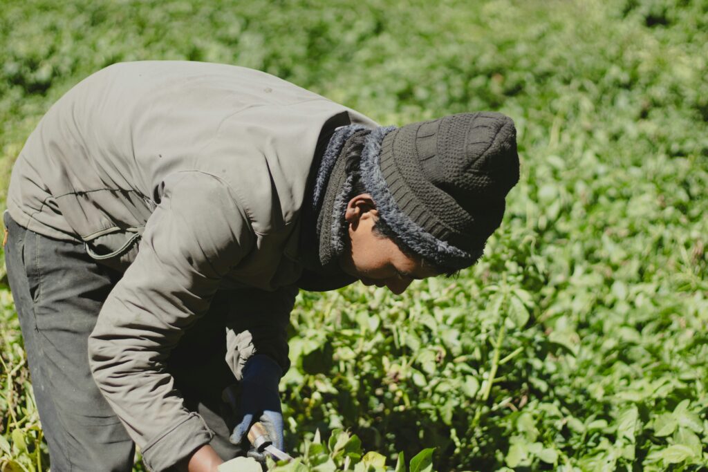 Farm workers atrazine EPA