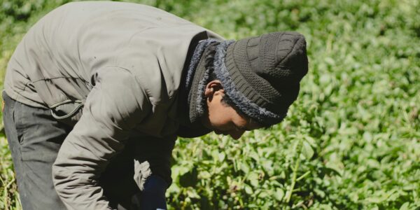 Farm workers atrazine EPA