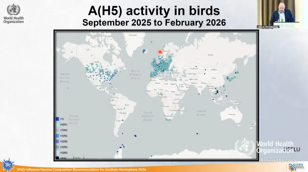 Dr Richard Webby noted that while zoonotic threats primarily impact animal populations, the WHO remains on high alert for potential human infections.