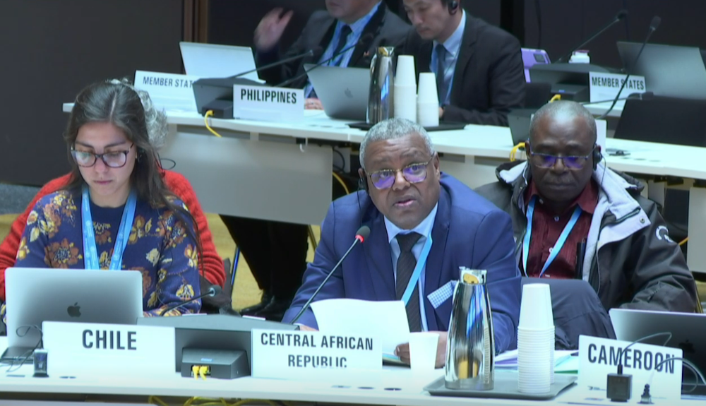 In the foreground, a man representing the Central African Republic speaks into a microphone while holding a document. The delegate from the Central African Republic advocated for slower, more meaningful consultations on the global indigenous health plan.