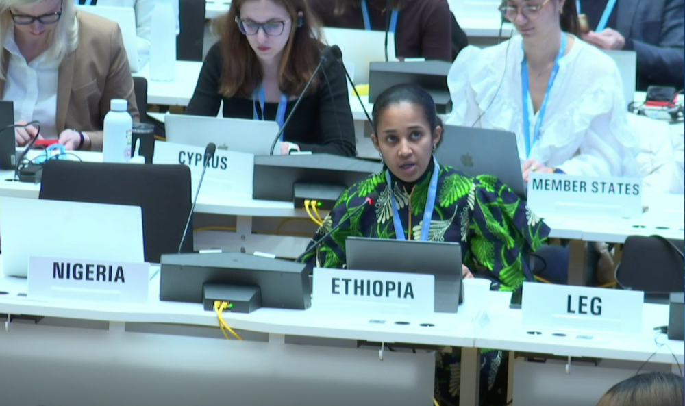 A compromise proposed by Ethiopia opened the path to informal negotiations before the WHA in May.