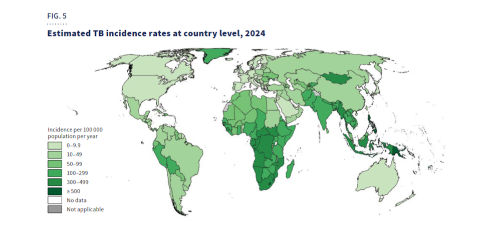 A global map of estimated 2024 tuberculosis incidence rates, with the highest burdens concentrated across the Western Pacific and in sub-Saharan Africa.