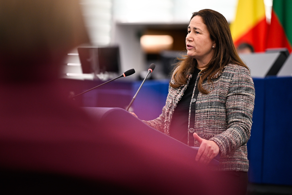 Margarita de la Pisa Carrión of the Patriots for Europe criticized EU financial support for abortion access.