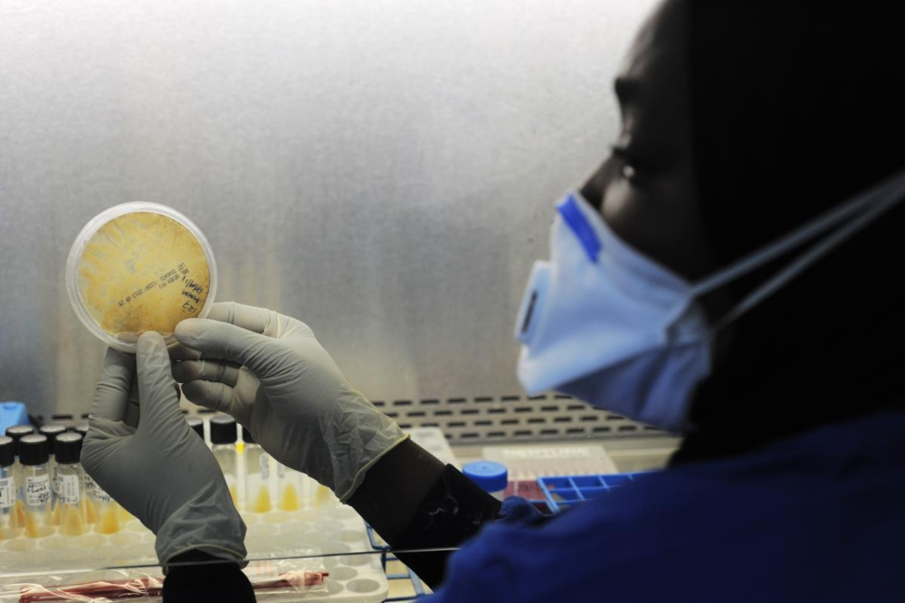 A laboratory technician examines a bacterial culture as part of a global effort to resolve the undetected tuberculosis crisis and curb the transmission of tuberculosis.
