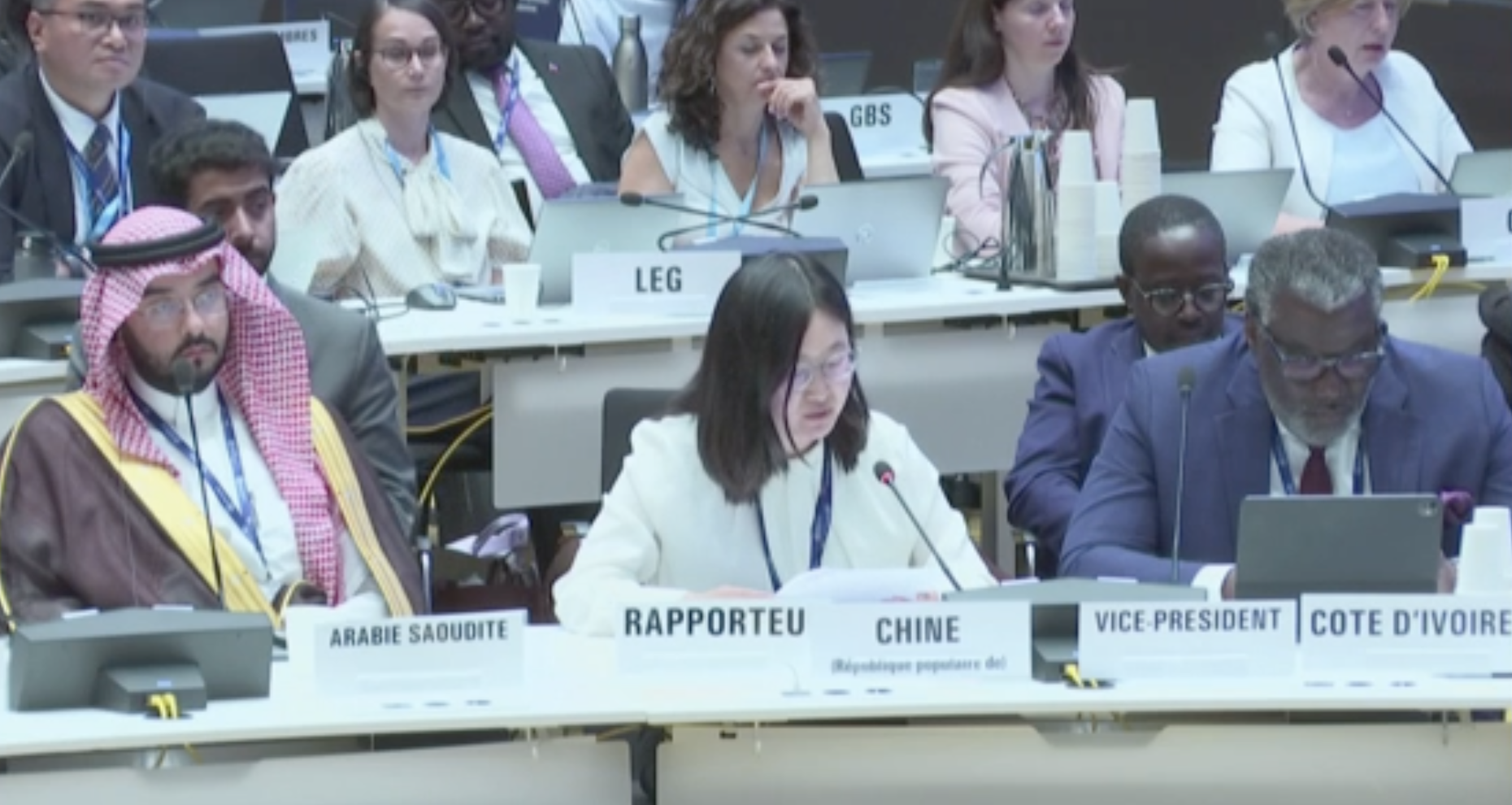WHO Executive Board Adopts Process for Election of Next Director General, With Powerful Role for Poor African States