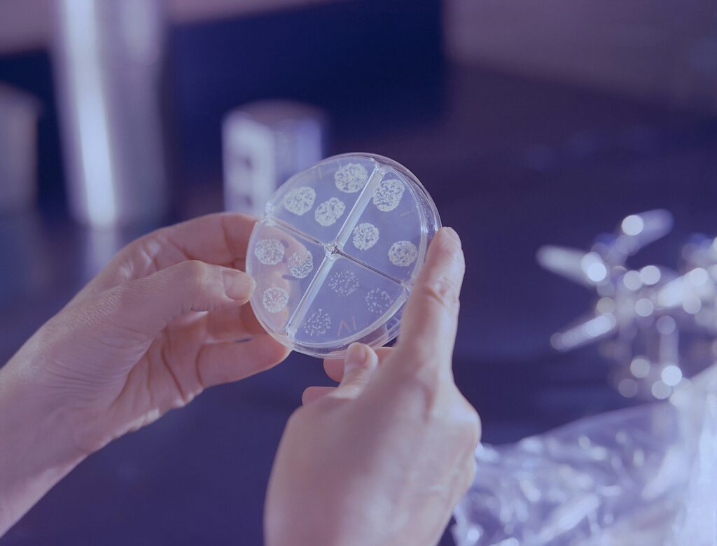 WHA Member States Approve Antimicrobial Resistance Strategy After Resolving Tech Transfer Debate