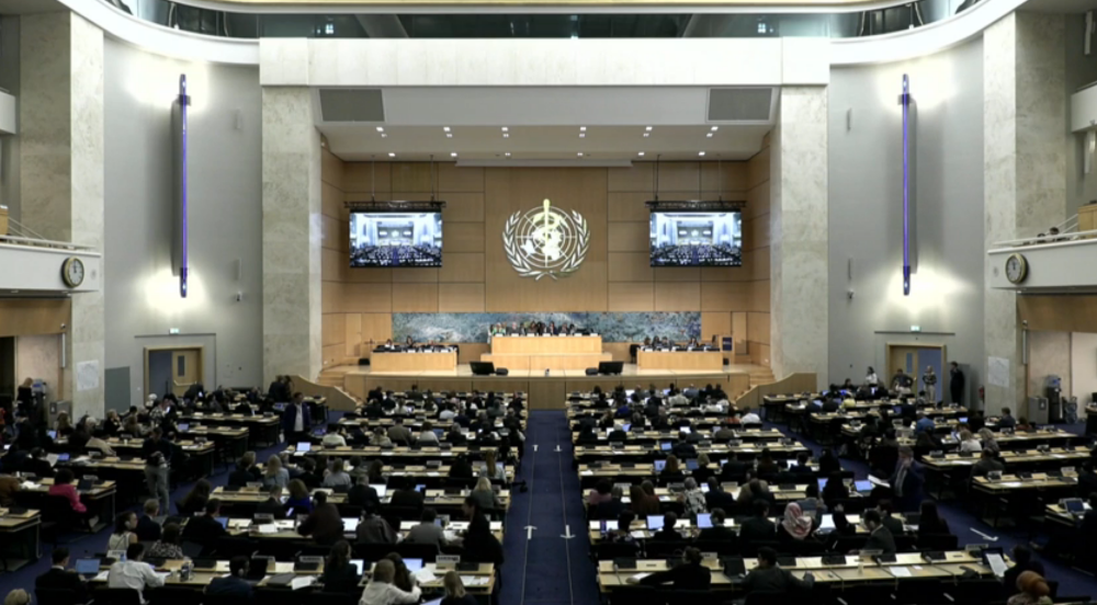 World Health Assembly delegates debate the newly adopted Global Health Architecture Reform in Committee B.
