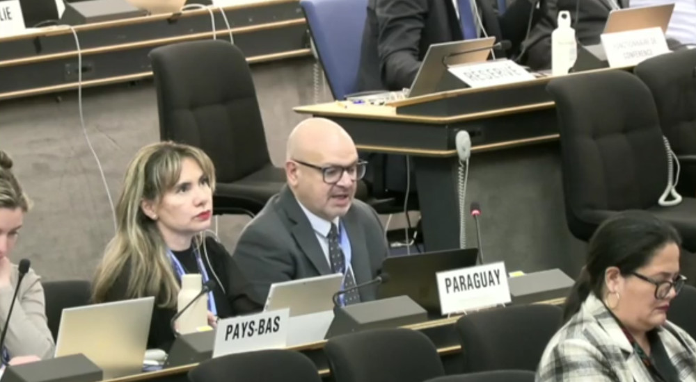 The Paraguayan delegation details their initial proposal regarding Argentina’s request for withdrawal at the World Health Assembly.
