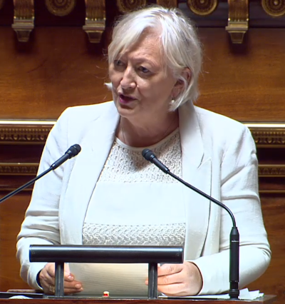 Centrist Senator Morin-Desailly criticized Macron's hasty regulation.