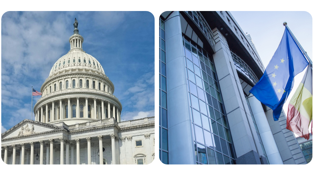 Candidate networks highlight strategic geopolitical reach, connecting Balkhy to Washington biosecurity circles and Kluge to EU executive bodies.