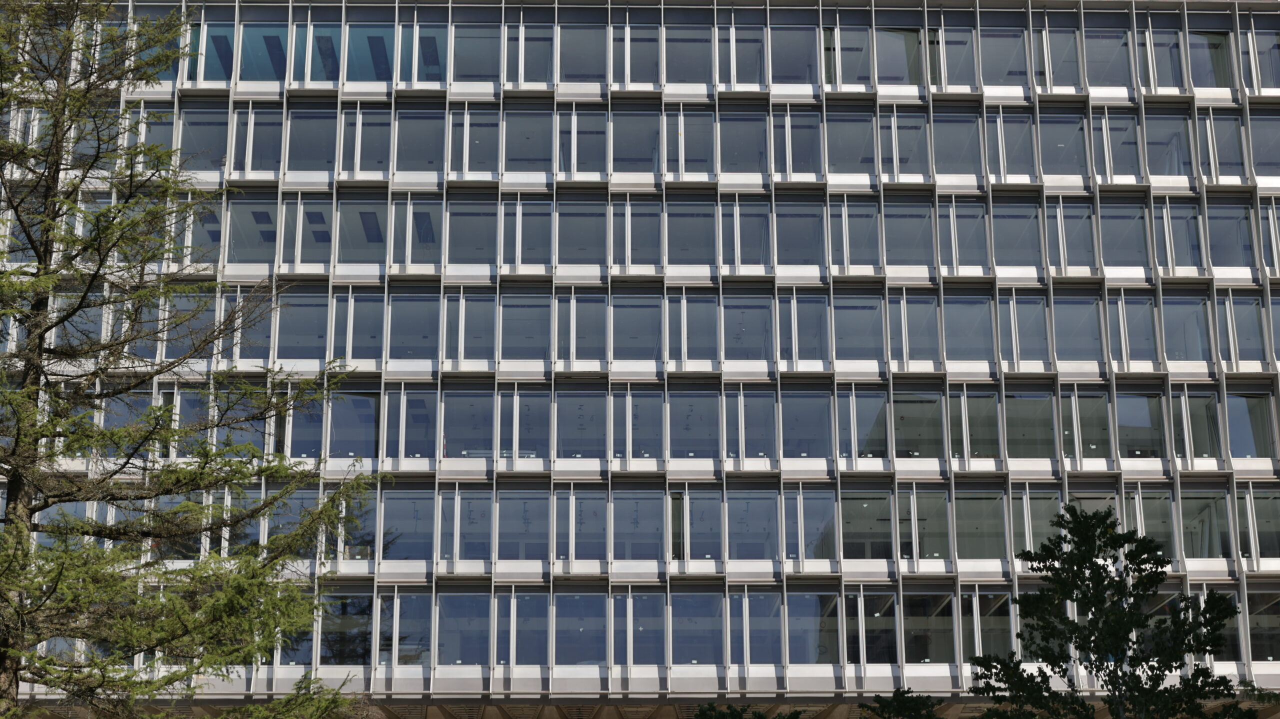 The World Health Organization headquarters in Geneva, where member states will elect the next Director-General to lead the agency.