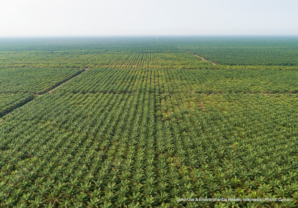 Agricultural deforestation and plastic waste pollution test how low and middle income countries align national industrial interests with environmental health mandates.